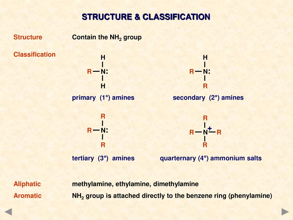 STRUCTURE & CLASSIFICATION