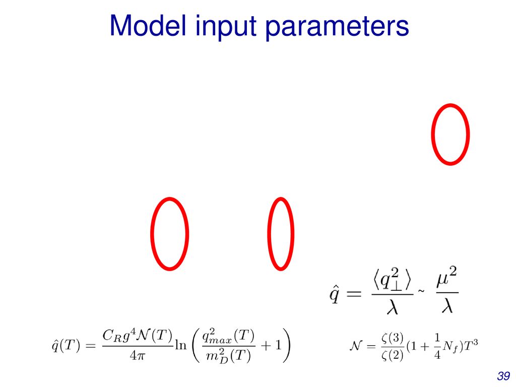 Model input parameters