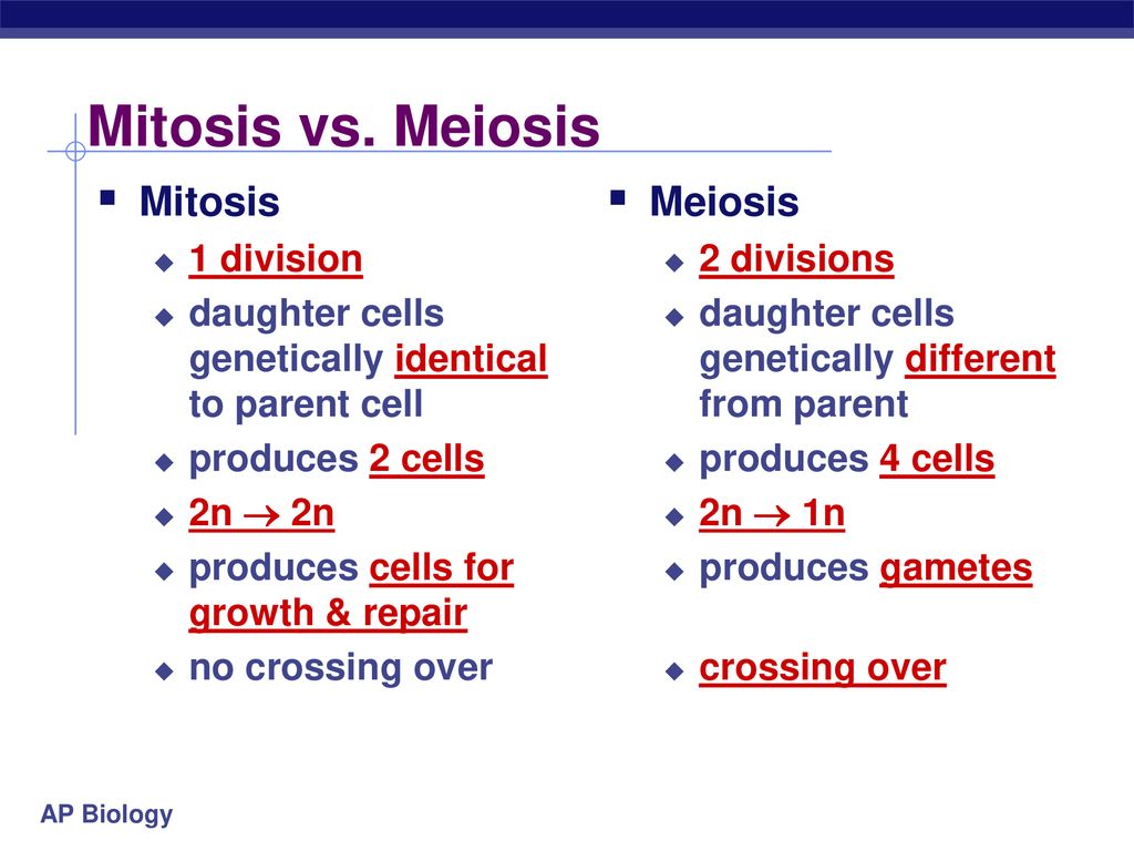 Meiosis & Sexual Reproduction - ppt download