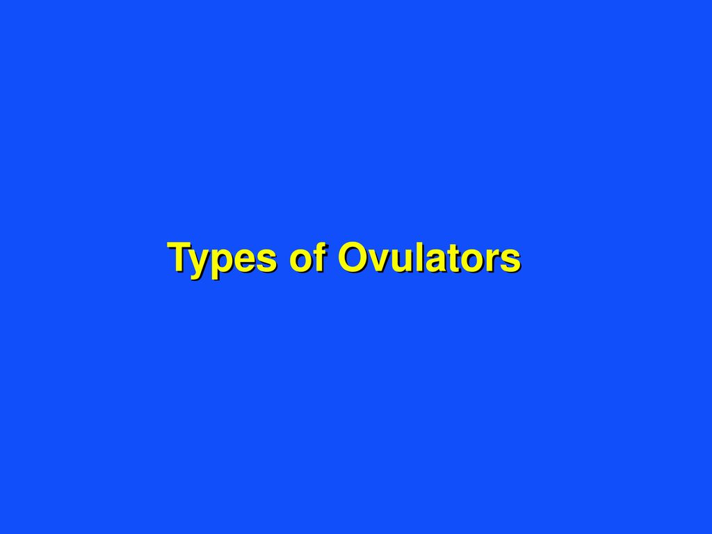 The Follicular Phase of the Estrous Cycle ppt download