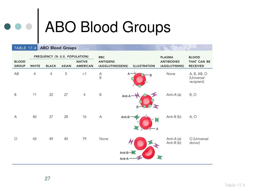 Exercise 34 Blood. - ppt download