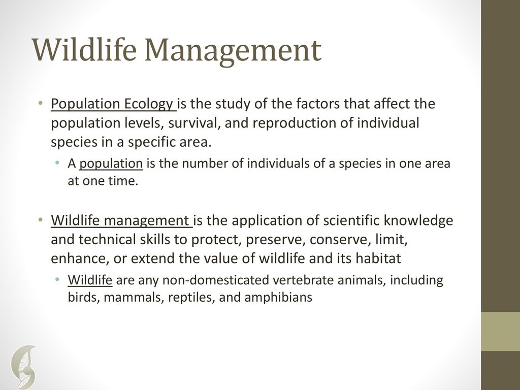 Introduction to Agriculture AAEC – Paradise Valley - ppt download