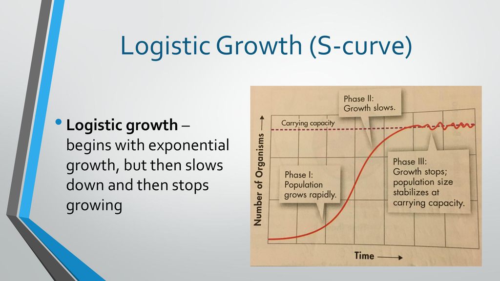 Logistic Growth (S-curve)
