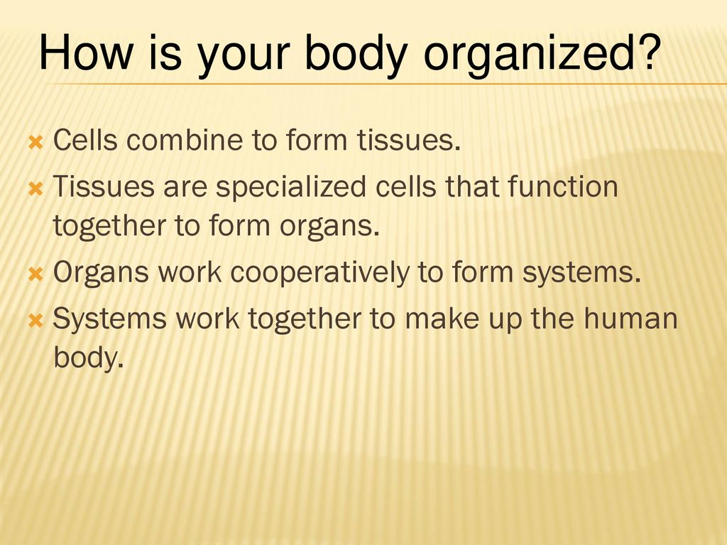 Foundations of Health Science - ppt download