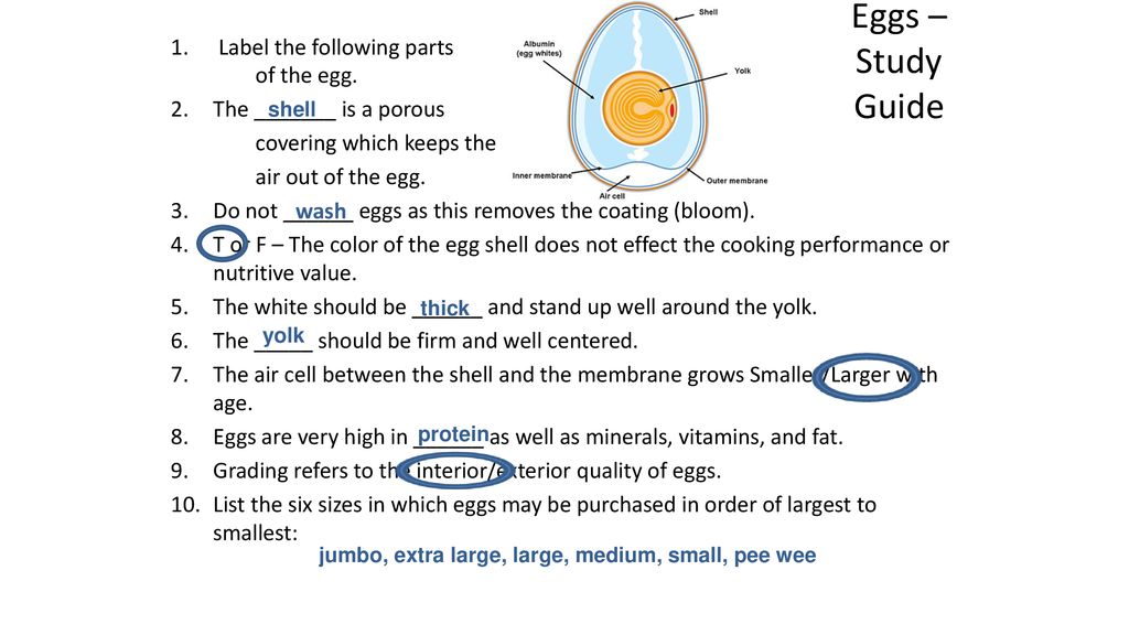 Eggs What Do I Need To Know About Eggs Related To Selection Nutrition And Cooking Methods Ppt Download