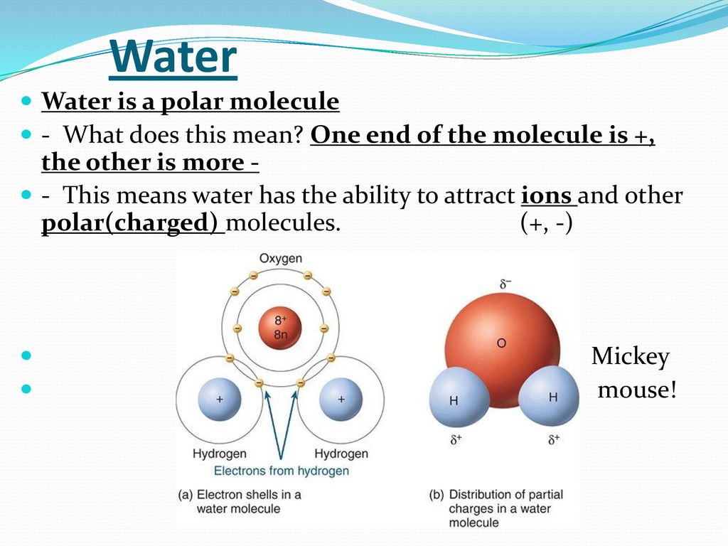 Water WATER (chemical formula : H2O) - ppt download
