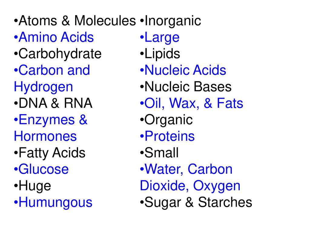 Atoms & Molecules Inorganic. Amino Acids. Large. Carbohydrate. Lipids. Carbon and Hydrogen. Nucleic Acids.