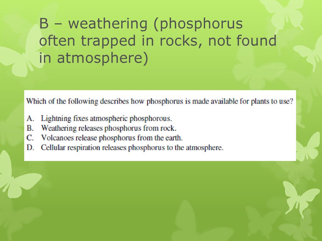 B – weathering (phosphorus often trapped in rocks, not found in atmosphere)