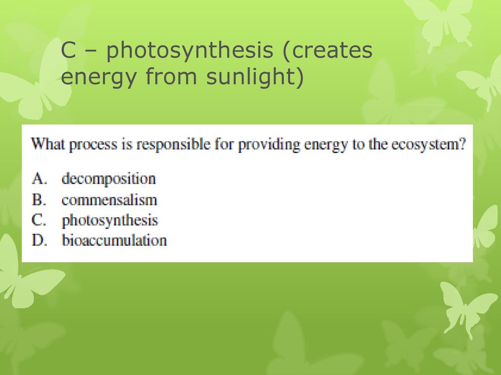 C – photosynthesis (creates energy from sunlight)