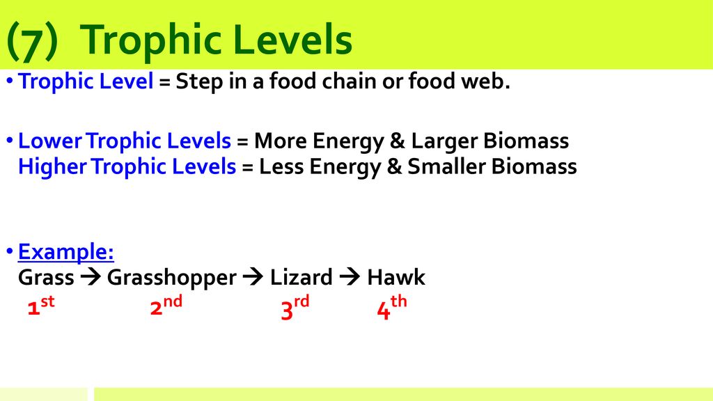 Unit 8 Notes: Ecosystems & Energy - ppt download