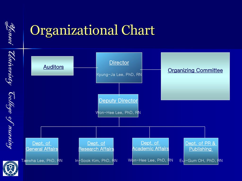 Rn Chart Auditor