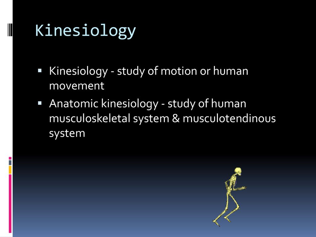 Foundations of Kinesiology! Biology Diagrams