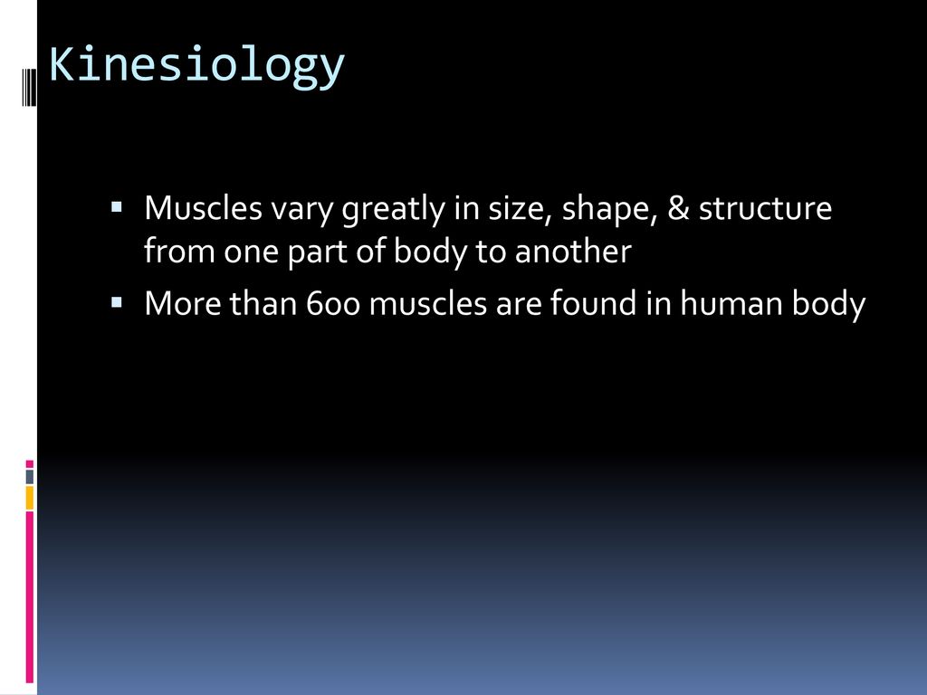 Foundations of Kinesiology Biology Diagrams