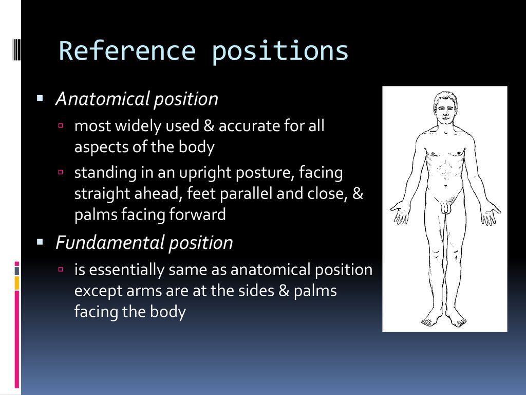 Foundations of Kinesiology! - ppt download