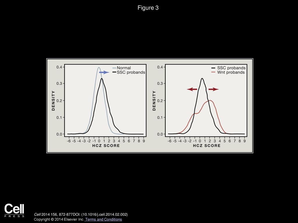 Figure 3 Potential Genetic Definition of Autism Subtypes