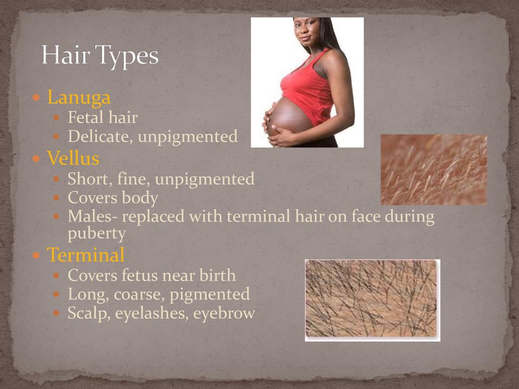 Hair Types Terminal at Gabriel Higgins blog