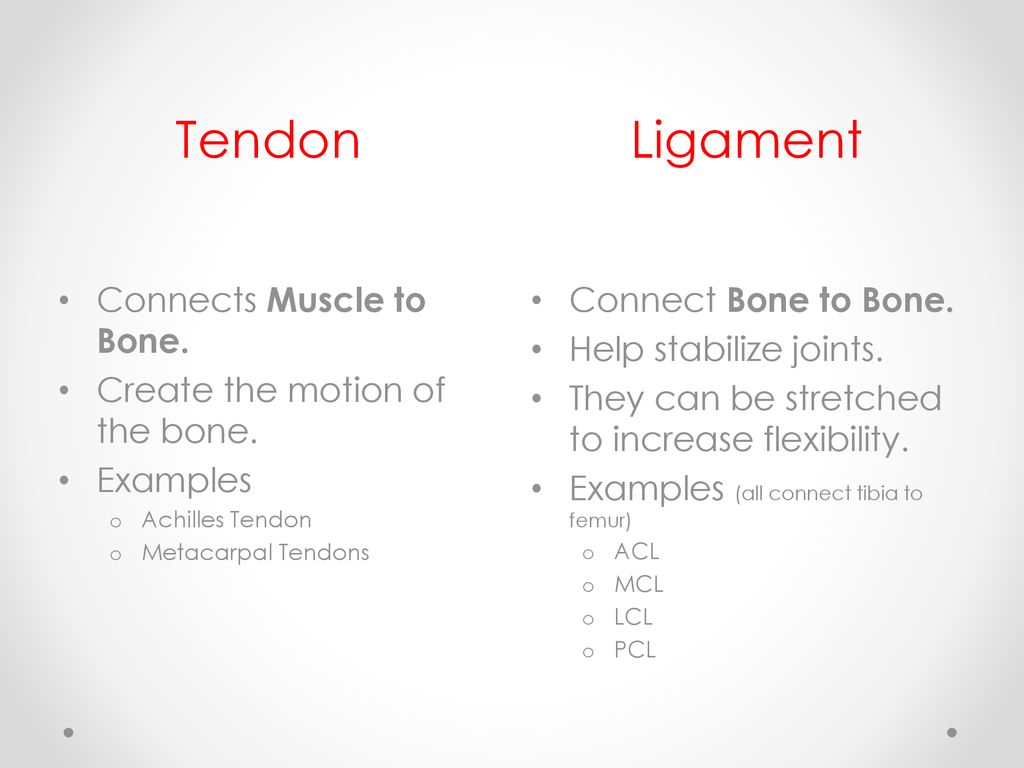 The Body Systems Chapter ppt download