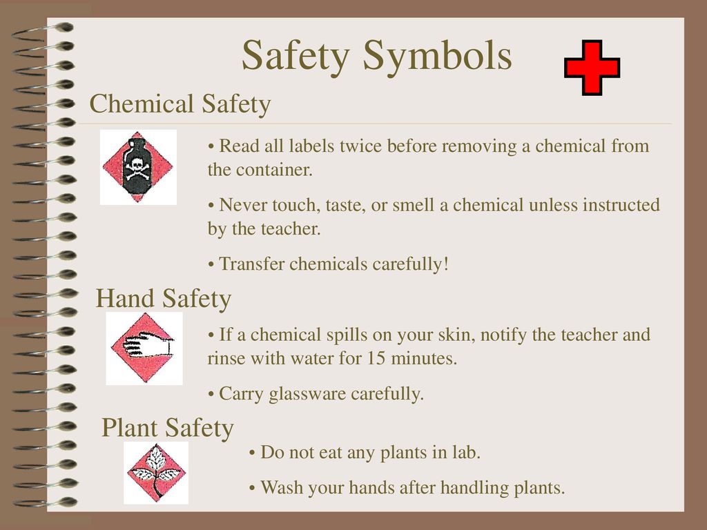 Safety In the Science Lab - ppt download