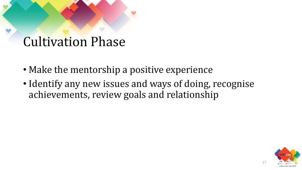 Cultivation Phase Make the mentorship a positive experience