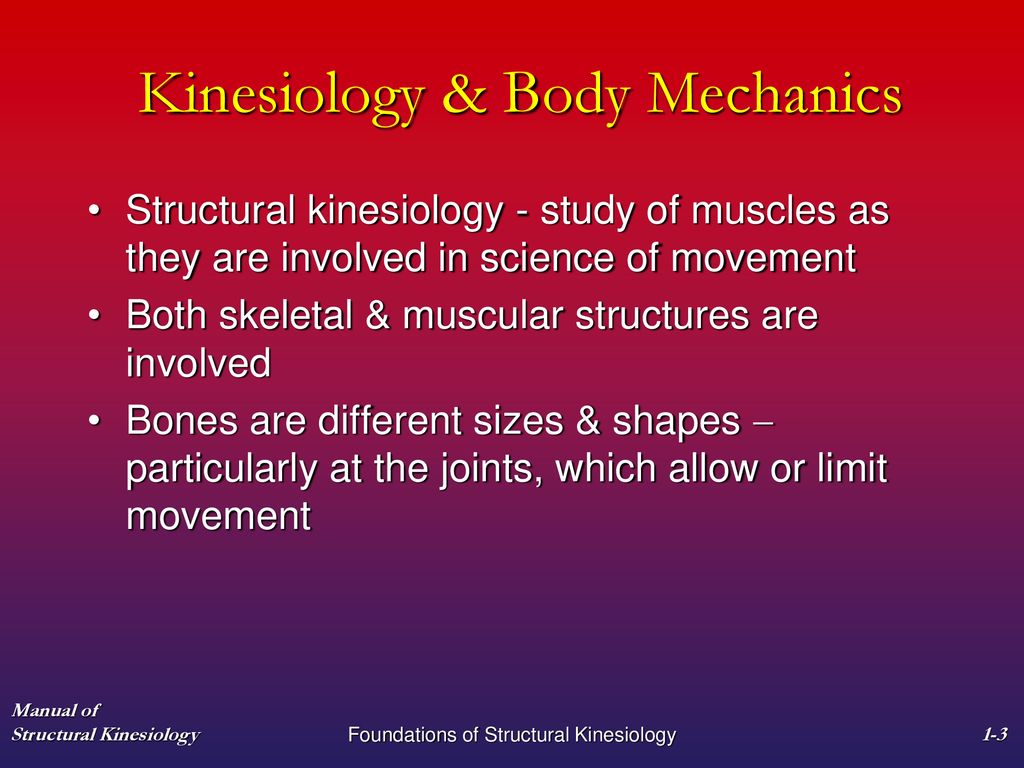 Chapter 1 Foundations of Structural Kinesiology Biology Diagrams