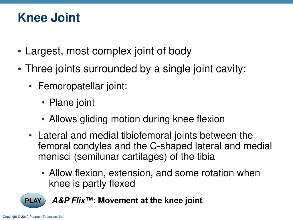 8 Joints: Part B. - ppt download