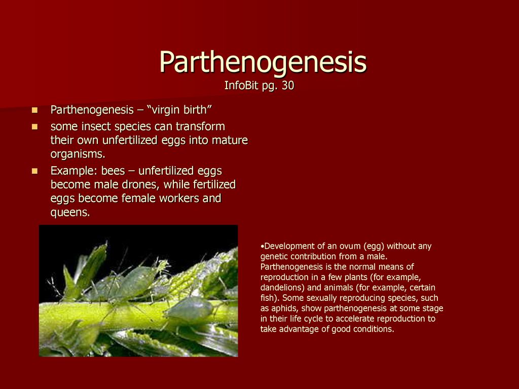 2.1 A Closer Look at Variation - ppt download