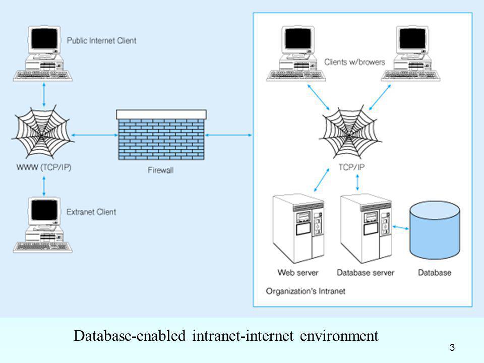 Database-enabled intranet-internet environment