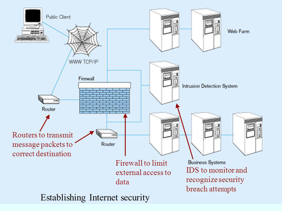 Establishing Internet security