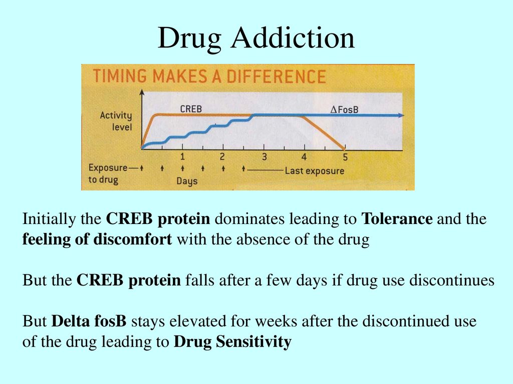 Drug Addiction Initially the CREB protein dominates leading to Tolerance and the feeling of discomfort with the absence of the drug.