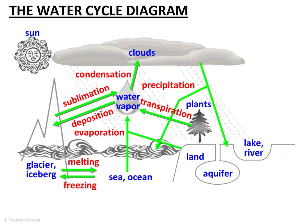 Draw a diagram of water cycle.