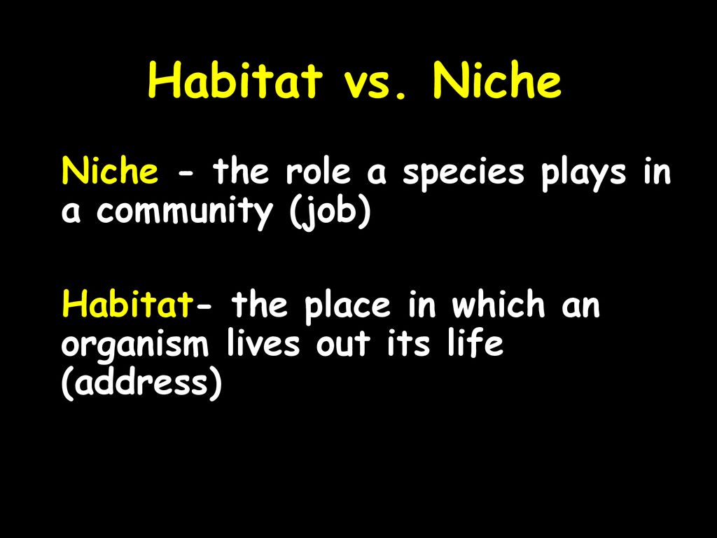 Habitat vs. Niche Niche - the role a species plays in a community (job) Habitat- the place in which an organism lives out its life (address)
