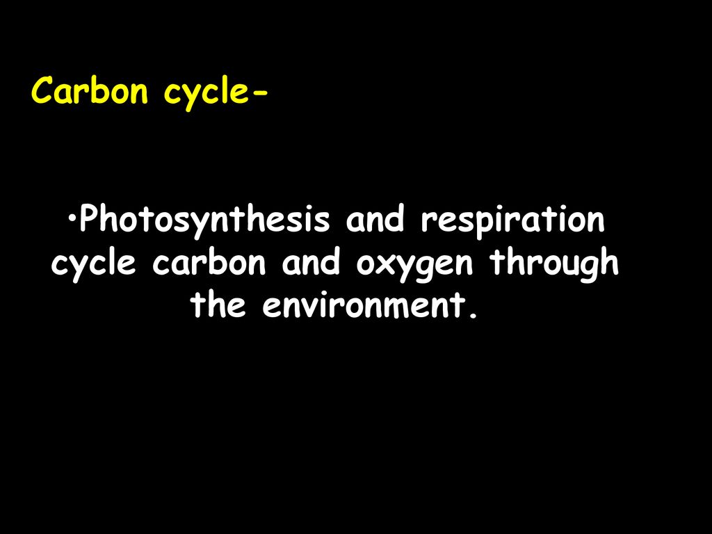 Carbon cycle- Photosynthesis and respiration cycle carbon and oxygen through the environment.