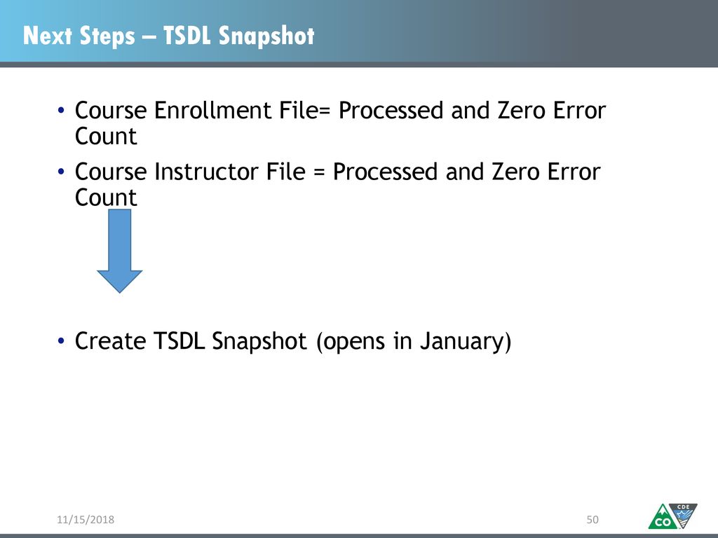 Next Steps – TSDL Snapshot