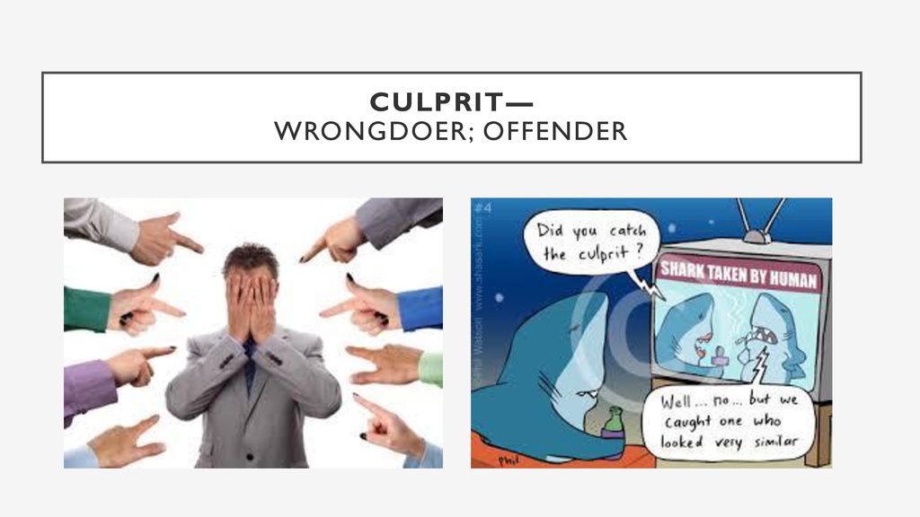 Culprit— wrongdoer; offender