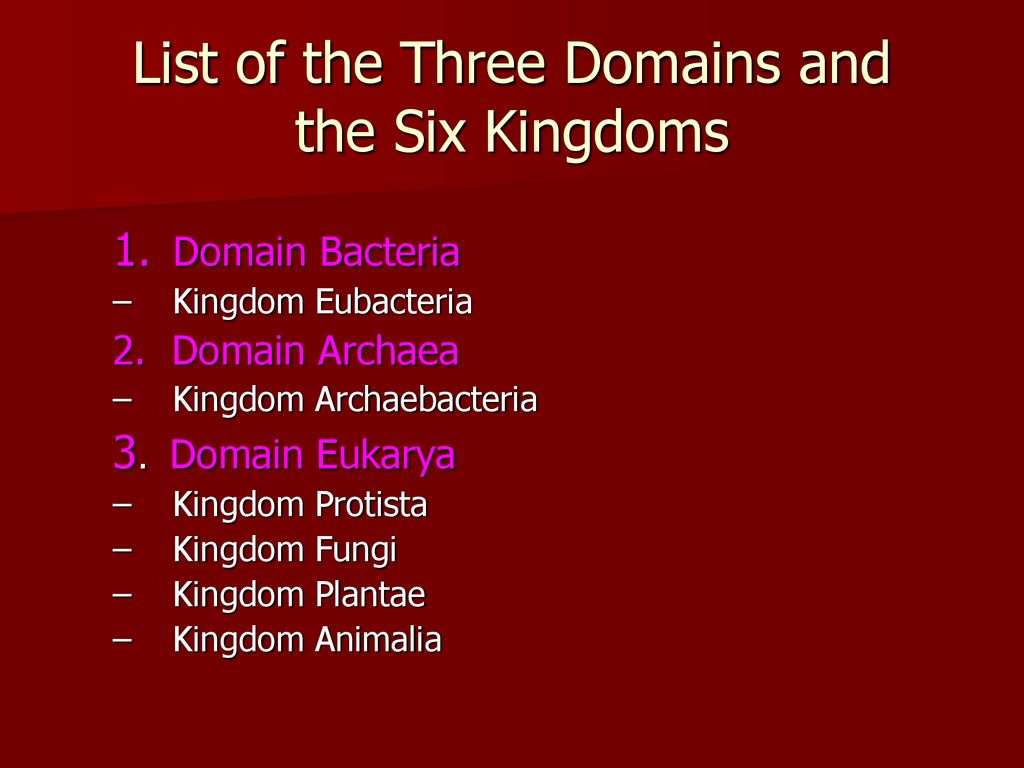 Overview of the Six Kingdoms - ppt download With Regard To Domains And Kingdoms Worksheet