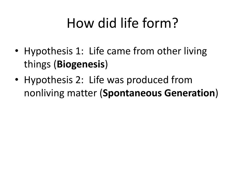 The fossil record ppt download