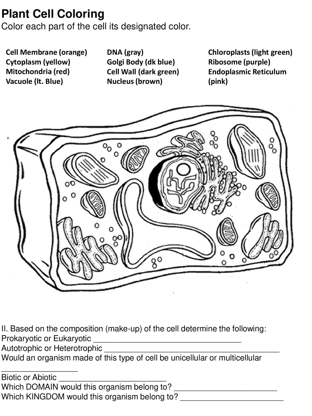 plant cell coloring
