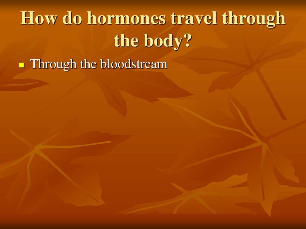 ppt download Biology Diagrams