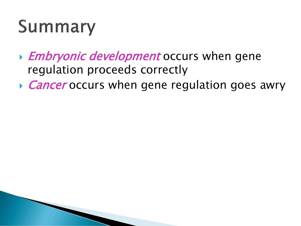 Embryonic Development of Multicellular Organisms Biology Diagrams