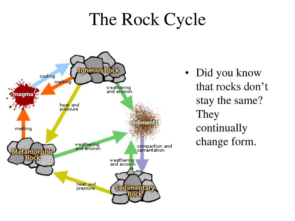 The Rock Cycle. - ppt download