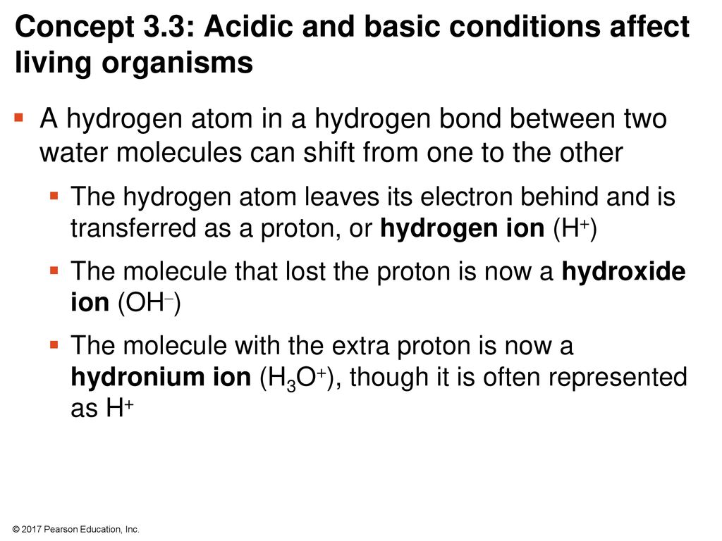 Concept 3.3: Acidic and basic conditions affect living organisms