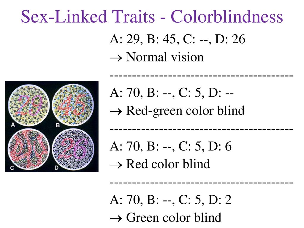 Sex-Linked Traits - Colorblindness