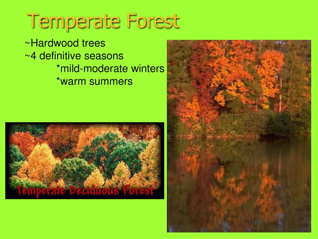 Biomes Lecture. - ppt download