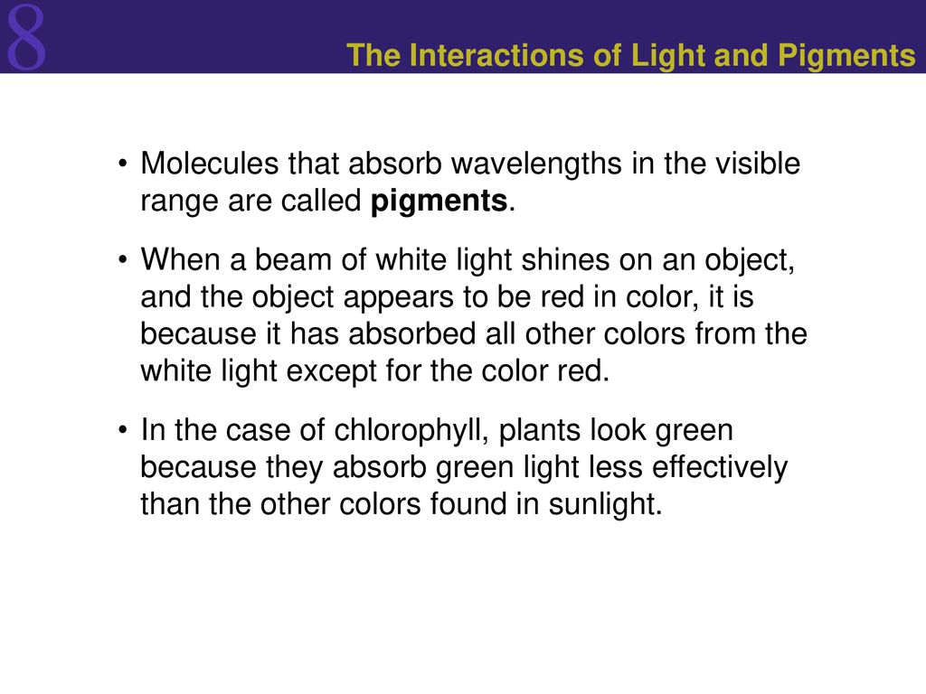 Photosynthesis: Energy from the Sun - ppt download