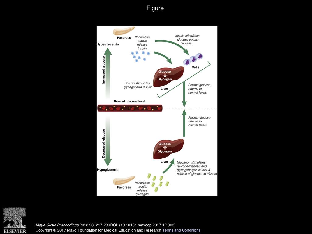 Sofie Hædersdal, MD, Asger Lund, MD, PhD, Filip K Biology Diagrams