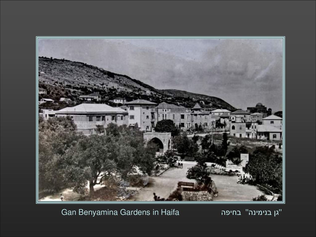 גן בנימינה בחיפה Gan Benyamina Gardens in Haifa