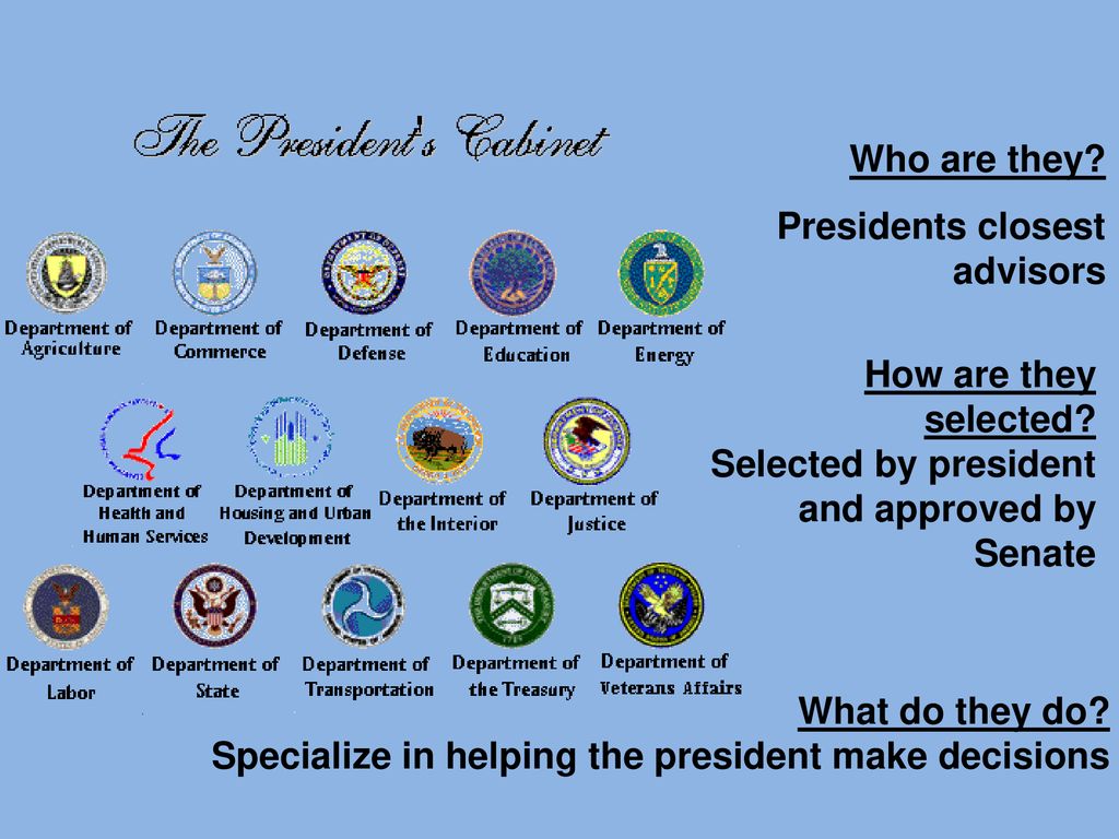 Structure And Functions Of The Executive Branch Ppt Download