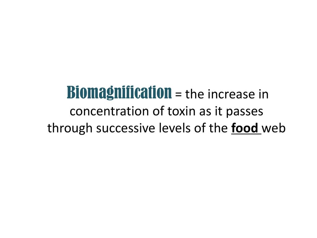 Biomagnification = the increase in concentration of toxin as it passes through successive levels of the food web