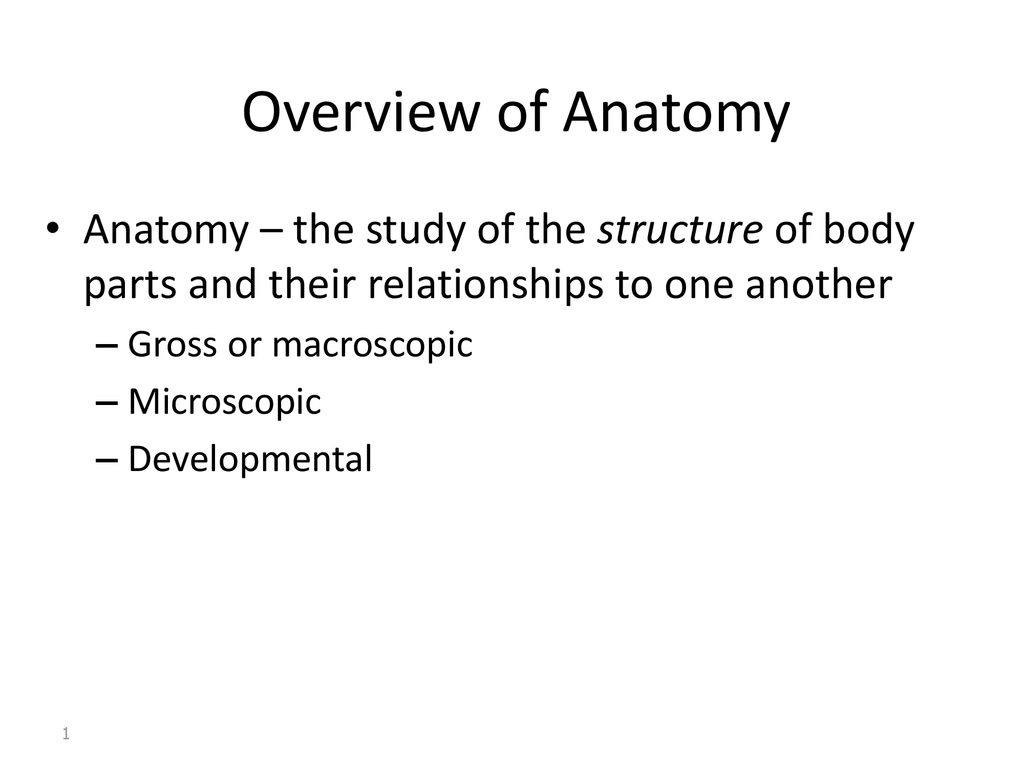 Overview of Anatomy Anatomy – the study of the structure of body parts ... Biology Diagrams
