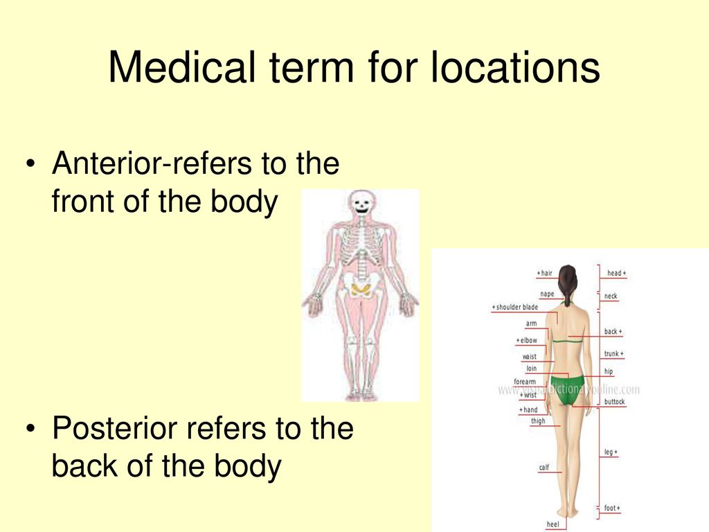 Medical term for locations